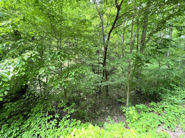 0 Clay Lick Rd, Whites Creek, TN 37189 - photo 4