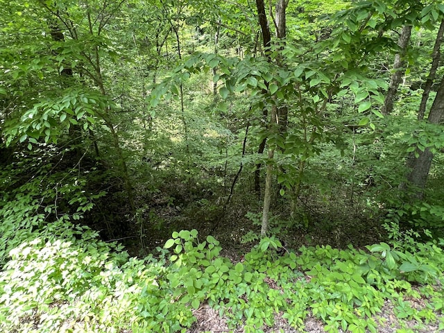 0 Clay Lick Rd, Whites Creek, TN 37189 - photo 5