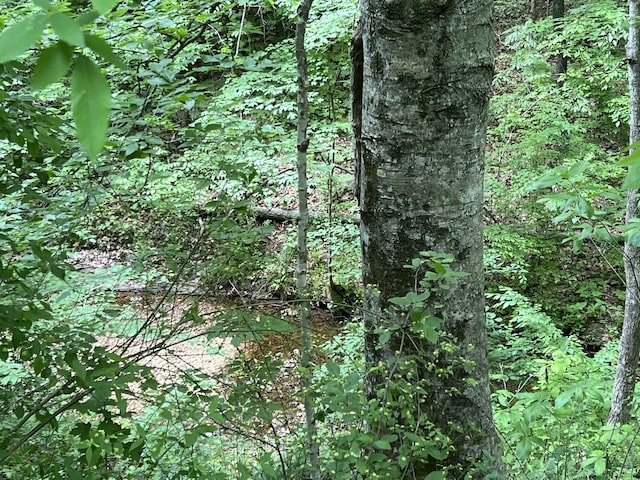 Listing photo 2 for 0 Clay Lick Rd, Whites Creek TN 37189