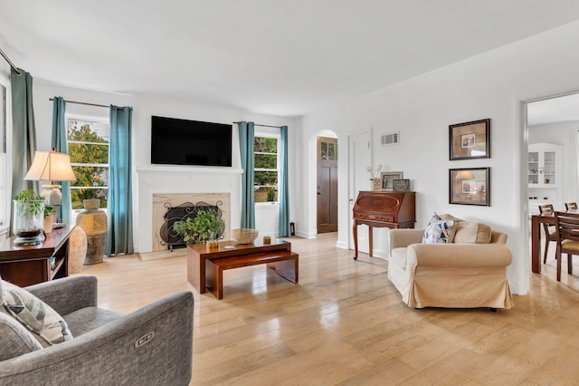 living room featuring light hardwood / wood-style flooring, a fireplace, and a wealth of natural light