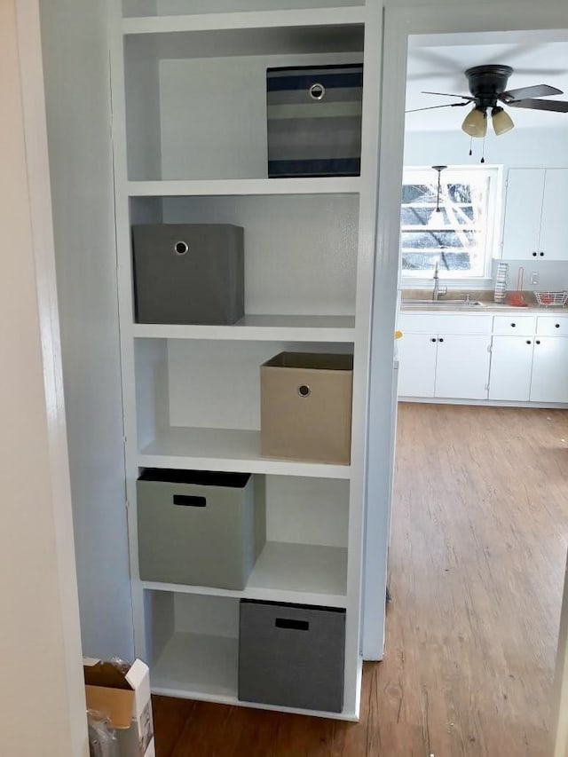 closet featuring sink