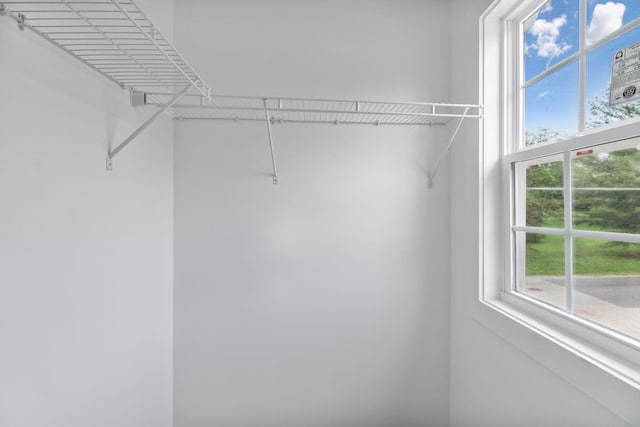 320 Moffat St Unit 103, Monteagle, TN 37356 - view of spacious closet