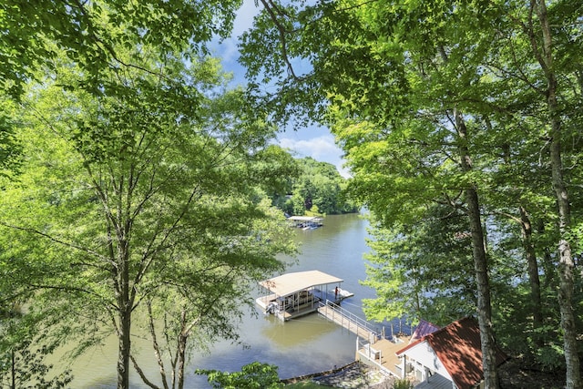 property view of water with a dock