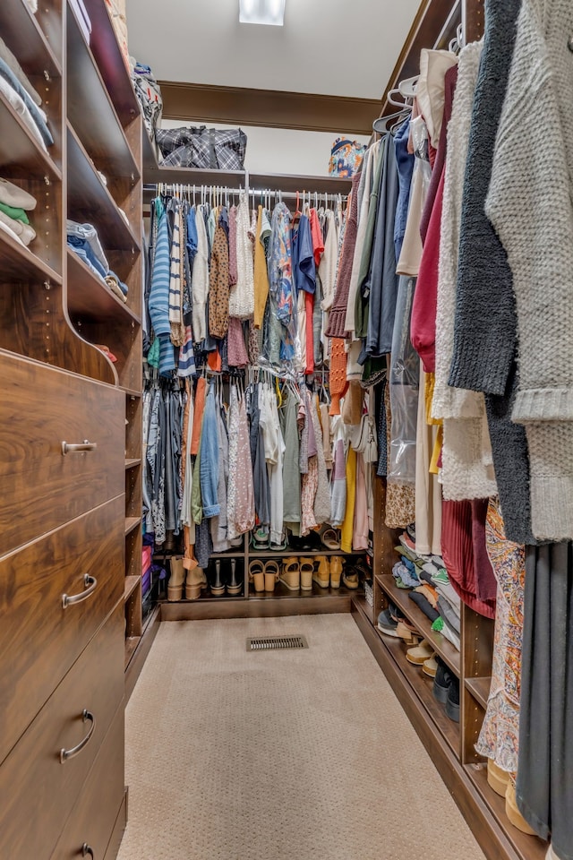 spacious closet featuring carpet