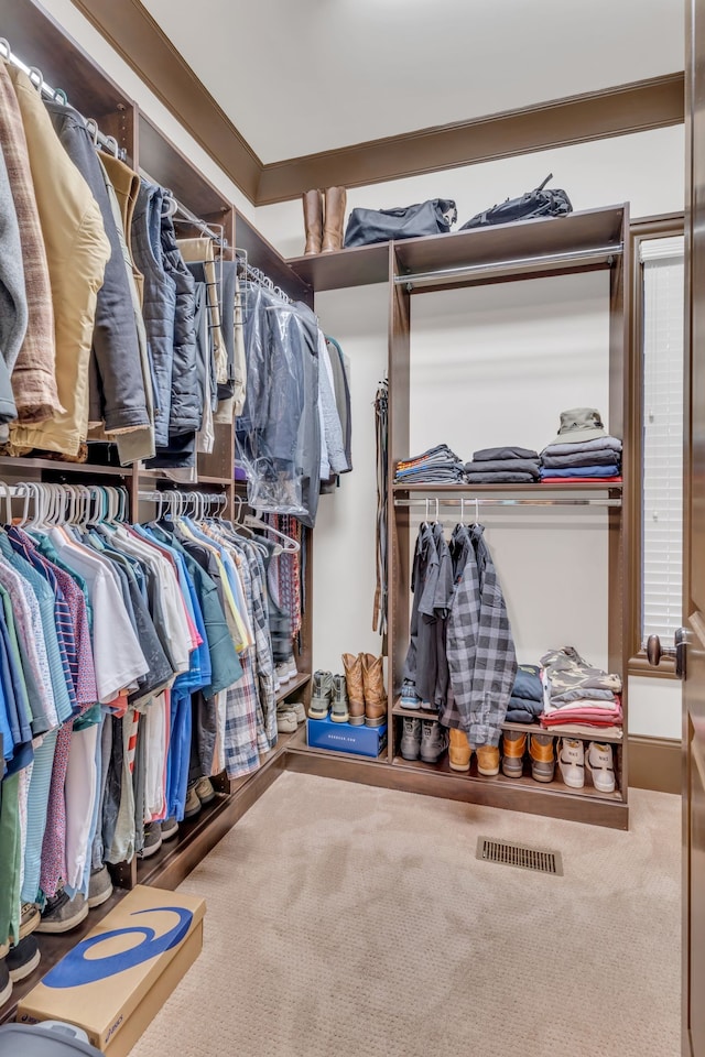 spacious closet with carpet flooring