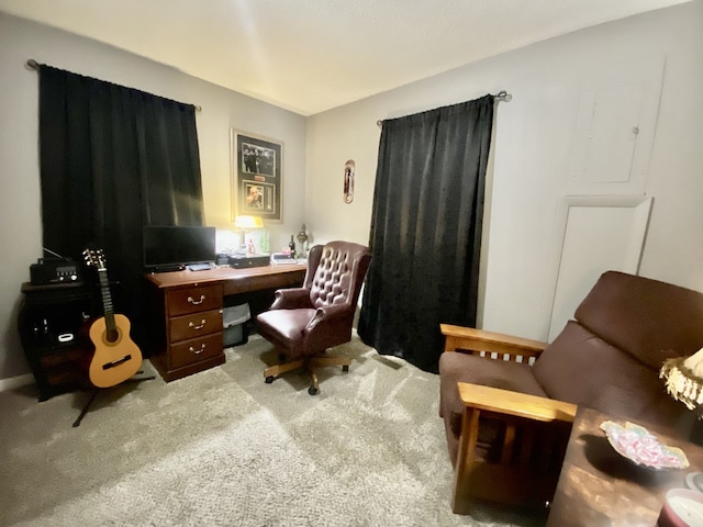 home office featuring light colored carpet