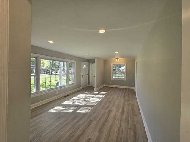 interior space with wood-type flooring