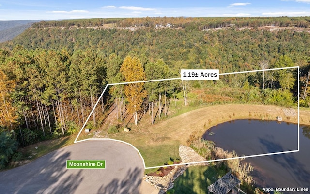 22 Moonshine Dr, Jasper, TN 37347 - photo 5