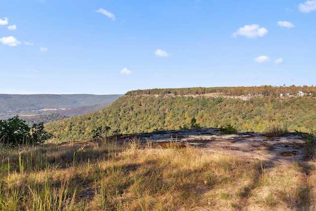 22 Moonshine Dr, Jasper, TN 37347 - photo 8