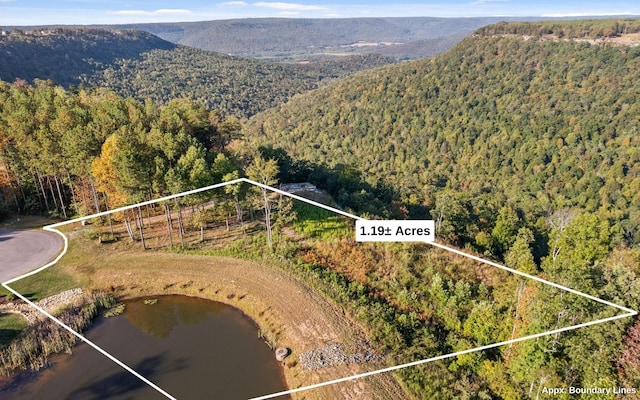 22 Moonshine Dr, Jasper, TN 37347 - photo 6
