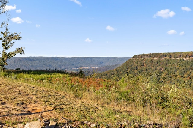 22 Moonshine Dr, Jasper, TN 37347 - photo 18
