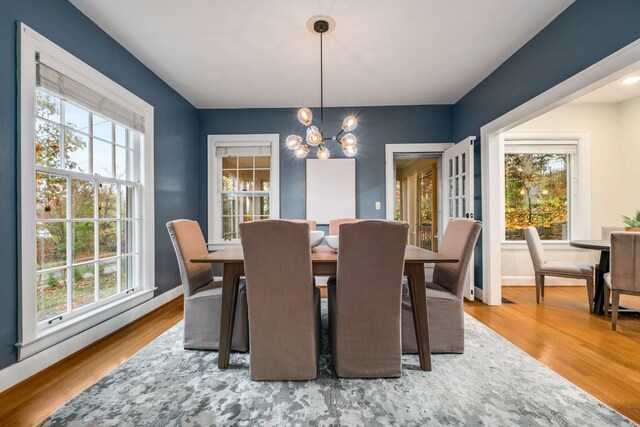 dining room with a chandelier, hardwood / wood-style flooring, and plenty of natural light