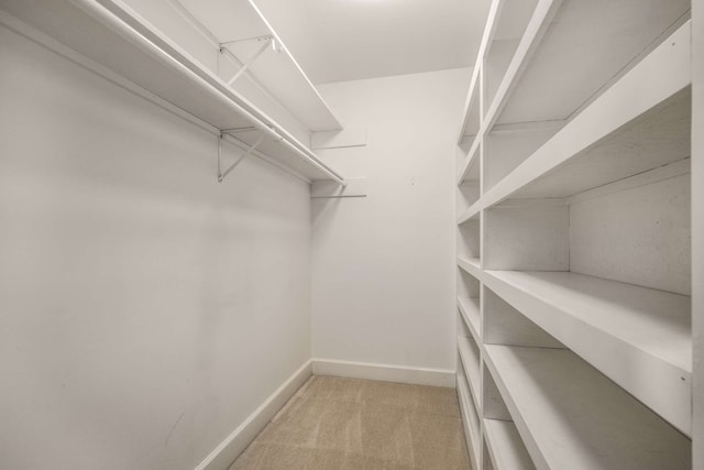 spacious closet featuring light carpet