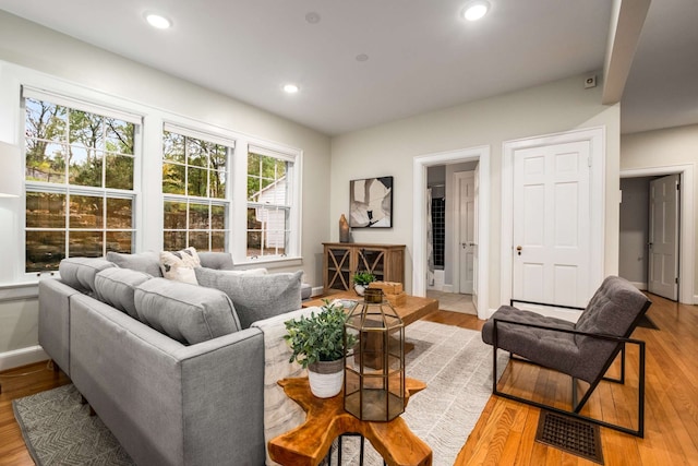 living room featuring light hardwood / wood-style floors