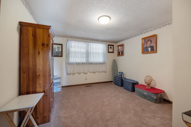 miscellaneous room with light carpet and a textured ceiling