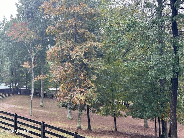 view of yard with a rural view