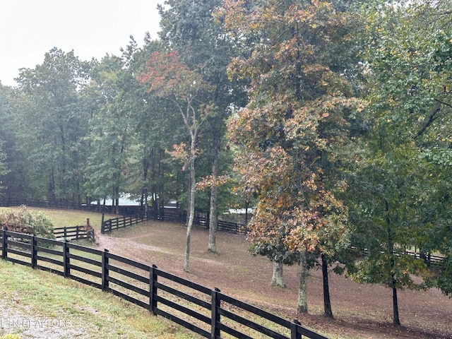 view of yard featuring a rural view