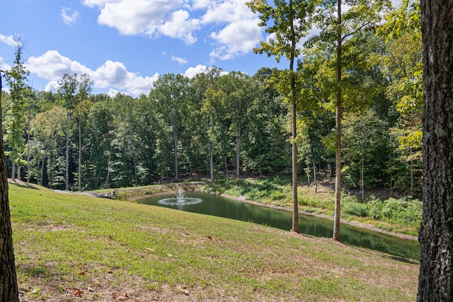 view of yard featuring a water view