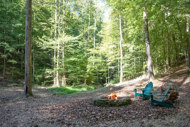 view of yard with a fire pit