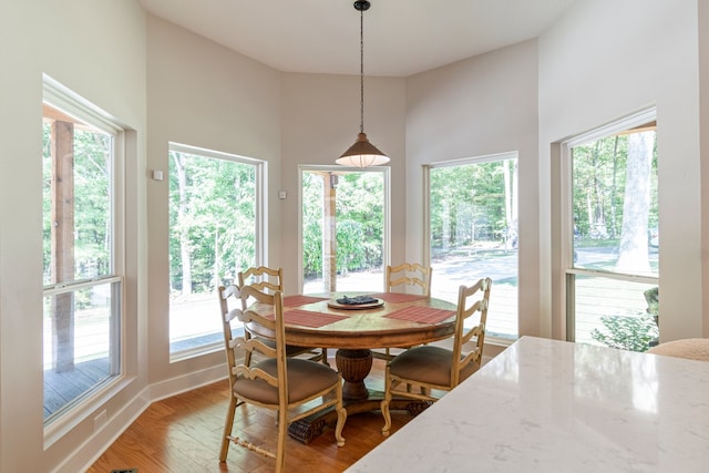 dining room with hardwood / wood-style flooring and a healthy amount of sunlight