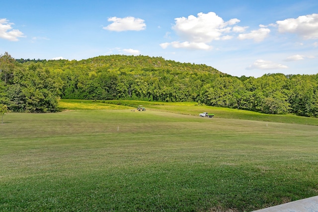 view of home's community with a yard