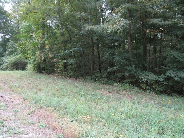 Listing photo 3 for 0 Cheyenne Dr, Jamestown TN 38556