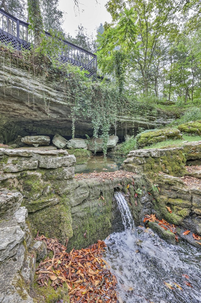 view of local wilderness