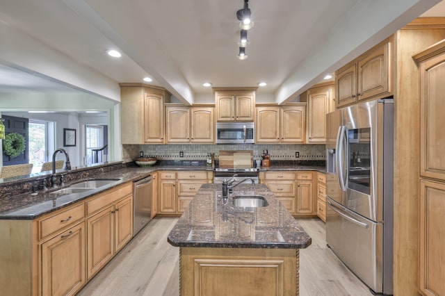 kitchen featuring sink, light wood-type flooring, and appliances with stainless steel finishes