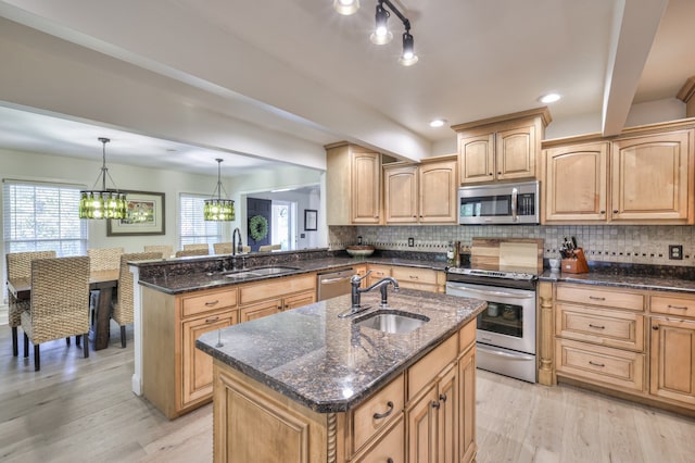 kitchen with sink, light hardwood / wood-style flooring, a center island with sink, and appliances with stainless steel finishes