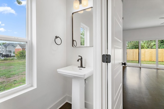 bathroom with hardwood / wood-style flooring and a wealth of natural light