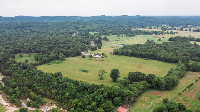 birds eye view of property with a mountain view and a rural view