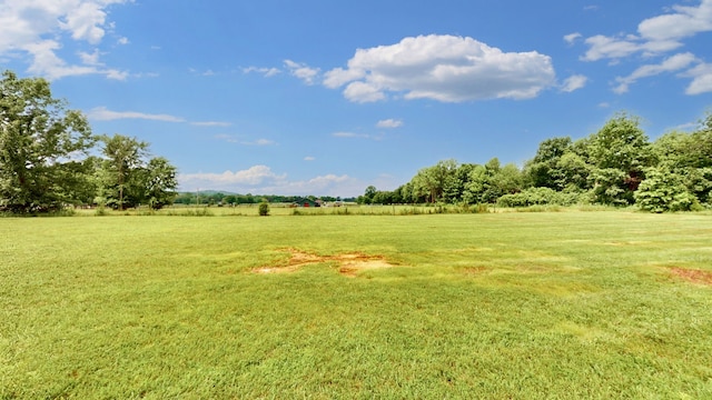 view of yard featuring a rural view