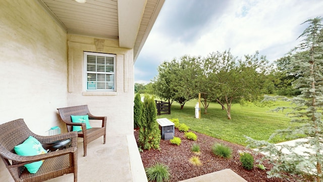 view of yard featuring a patio