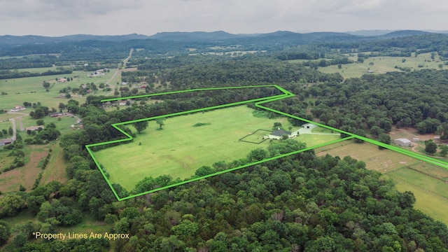 birds eye view of property with a mountain view and a rural view