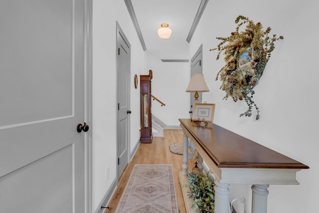 corridor with light hardwood / wood-style floors and ornamental molding