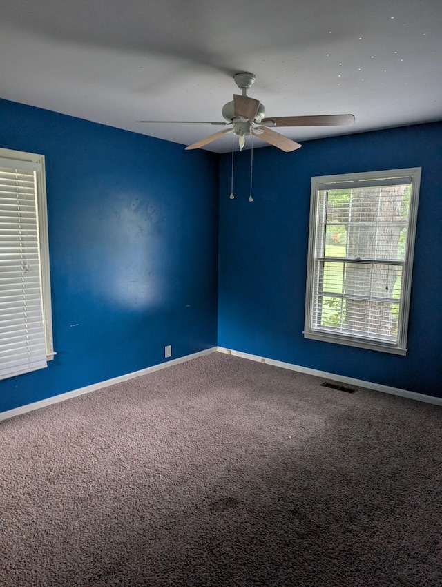 402 Hilltop Dr, Hopkinsville, KY 42240 - photo 10