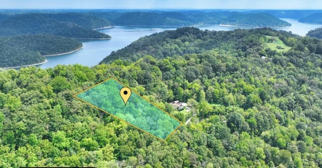 0 Harbor Pointe Dr, Silver Point TN, 38582 land for sale