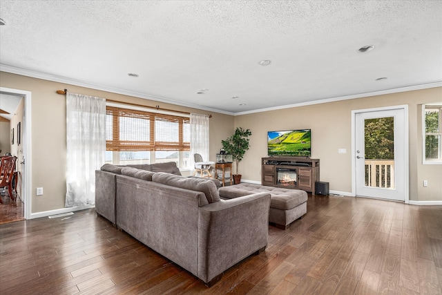 living room featuring ornamental molding, a textured ceiling, and dark wood-type flooring