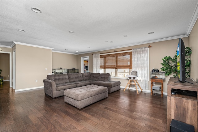 living room featuring a textured ceiling, dark wood-type flooring, and crown molding