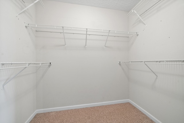 walk in closet featuring carpet floors