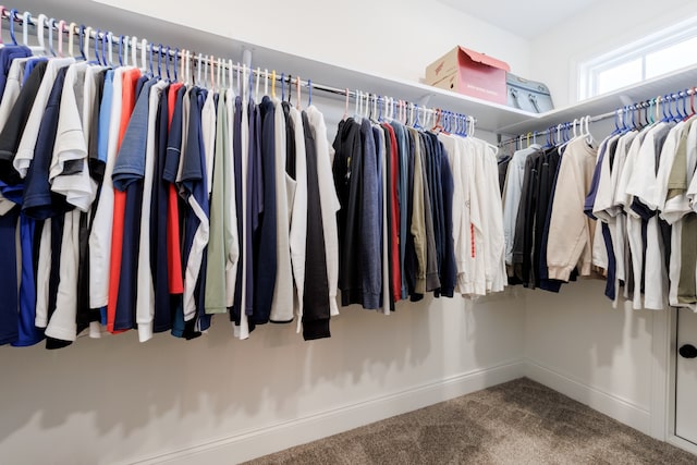 spacious closet with carpet floors