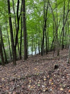 Listing photo 3 for 0 Rocky Hollow Dr, Winchester TN 37398