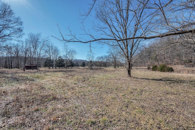 view of yard with a rural view