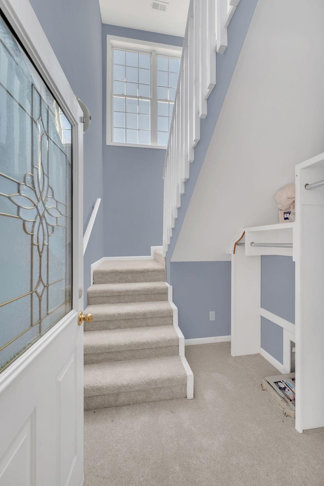 staircase featuring carpet