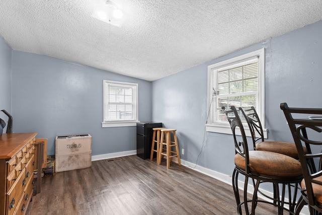 interior space with dark hardwood / wood-style floors, a healthy amount of sunlight, and a textured ceiling