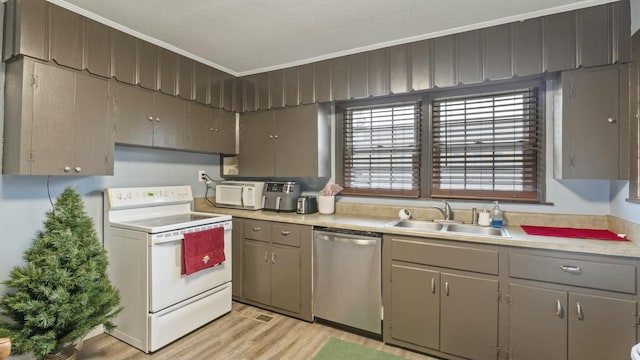 kitchen with sink, light hardwood / wood-style floors, a textured ceiling, white appliances, and ornamental molding