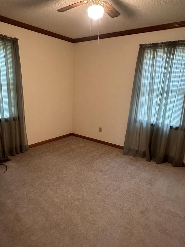 65 Sun Valley Dr, Mcminnville, TN 37110 - photo 6