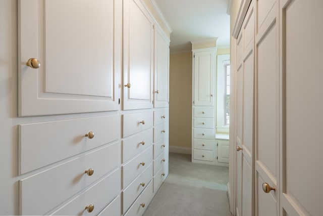 spacious closet featuring light carpet