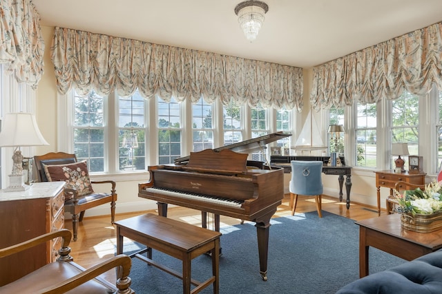 miscellaneous room featuring hardwood / wood-style flooring and a healthy amount of sunlight