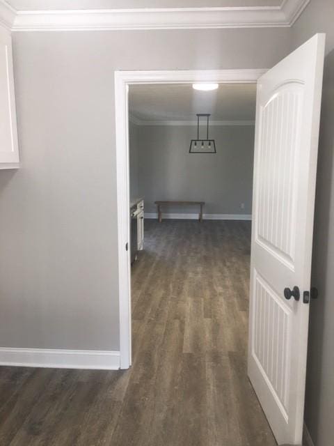 corridor with crown molding and dark wood-type flooring